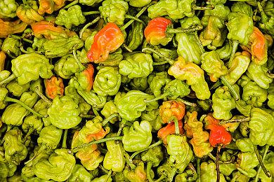 《黑帝斯2》抢先体验版将于2024年第2季度推出